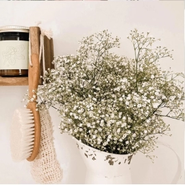 White Natural Dried Gypsophila Baby's Breath Dried Flowers Gypsophila Arrangement Home Decoration Wedding Table Decor Floral DIY