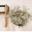 White Natural Dried Gypsophila Baby's Breath Dried Flowers Gypsophila Arrangement Home Decoration Wedding Table Decor Floral DIY